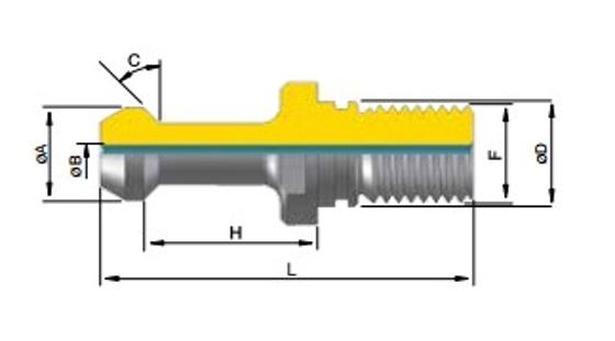 MAS 403 FORATO